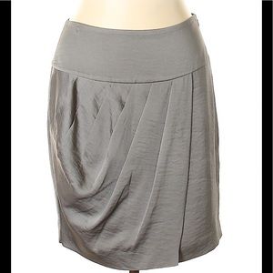 Banana Republic Skirt